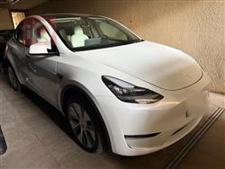 تسلا موديل Y